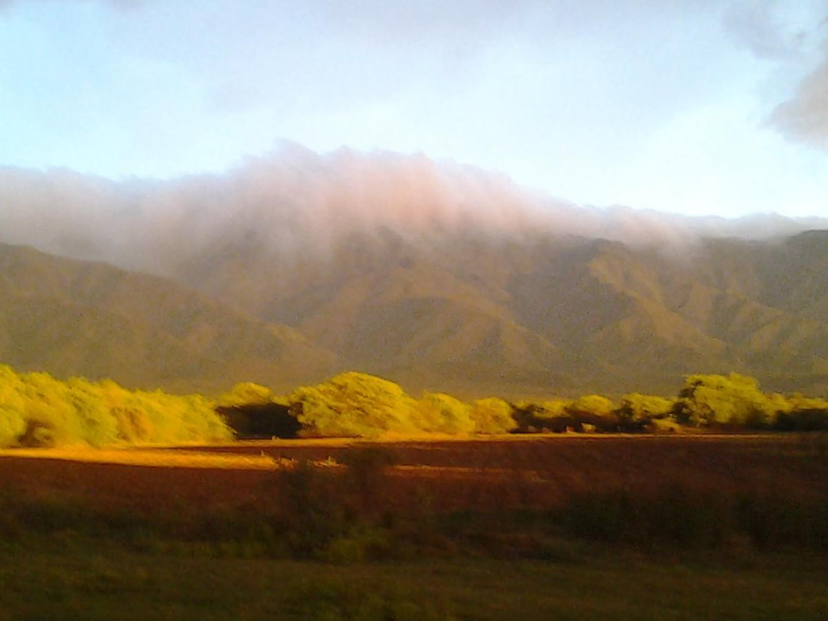 ビジャ・ラス・ロサス Complejo Valle De Las Rosasヴィラ エクステリア 写真